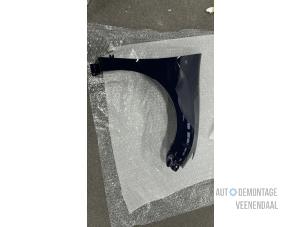 Nieuwe Scherm rechts-voor Dacia Sandero II Prijs € 199,65 Inclusief btw aangeboden door Autodeleninkleur