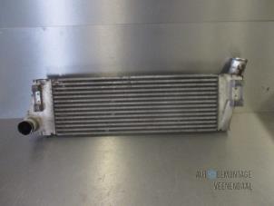 Gebruikte Intercooler Renault Megane II Grandtour (KM) 1.5 dCi 85 Prijs € 9,90 Margeregeling aangeboden door Autodeleninkleur