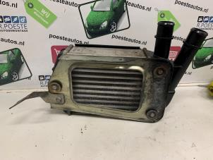 Gebruikte Intercooler Fiat Panda (169) 1.3 JTD 16V Multijet Prijs € 40,00 Margeregeling aangeboden door Autodemontagebedrijf R. Poeste B.V.