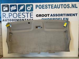 Gebruikte Hemelbekleding Opel Vivaro 2.5 CDTI 16V Prijs € 110,00 Margeregeling aangeboden door Autodemontagebedrijf R. Poeste B.V.