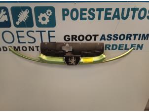 Gebruikte Grille Peugeot 206 CC (2D) 1.6 16V Prijs € 15,00 Margeregeling aangeboden door Autodemontagebedrijf R. Poeste