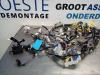 Toyota Yaris II (P9) 1.33 16V Dual VVT-I Bedrading Compleet Elektrisch