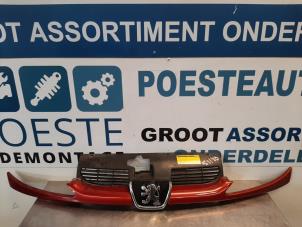 Gebruikte Grille Peugeot 206 (2A/C/H/J/S) 1.4 16V Prijs € 15,00 Margeregeling aangeboden door Autodemontagebedrijf R. Poeste