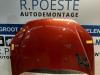 Gebruikte Motorkap Peugeot 206 (2A/C/H/J/S) 1.4 XR,XS,XT,Gentry Prijs € 50,00 Margeregeling aangeboden door Autodemontagebedrijf R. Poeste
