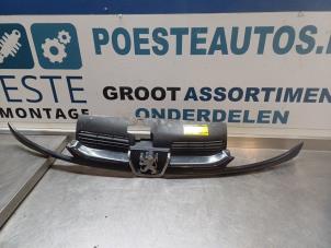 Gebruikte Grille Peugeot 206 (2A/C/H/J/S) 1.1 XN,XR Prijs € 15,00 Margeregeling aangeboden door Autodemontagebedrijf R. Poeste