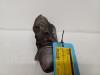 Fiat Doblo Cargo (263) 1.3 MJ 16V DPF Euro 5 Startmotor