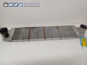 Gebruikte Intercooler Volkswagen Multivan T5 (7E/7HC/7HF/7HM) 2.5 Tdi Prijs € 40,00 Margeregeling aangeboden door Autodemontagebedrijf R. Poeste B.V.