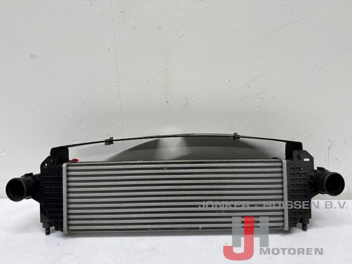 Intercooler Iveco New Daily F1CFL4117 - Foto 2