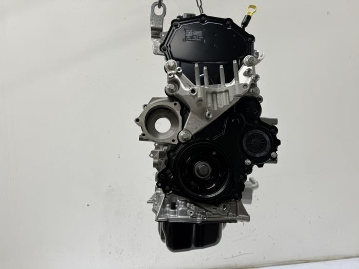 Motor Ford Transit