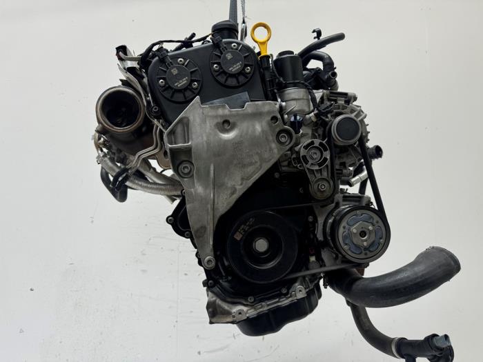 Motor Volkswagen Golf
