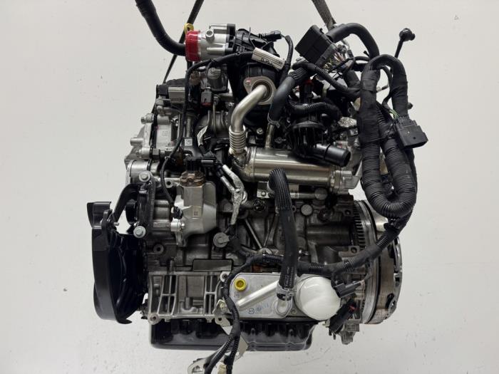 Motor Ford Transit