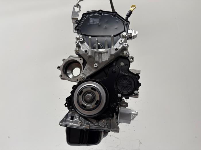 Motor Ford Transit