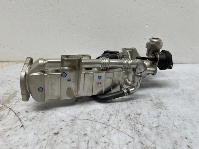 EGR Klep BMW X3