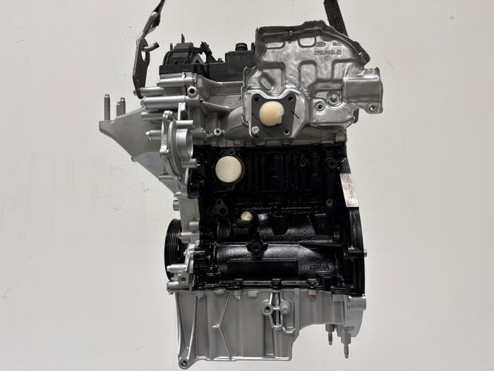 Motor van een Ford Fiesta 6 (JA8) 1.0 EcoBoost 12V 100 2014