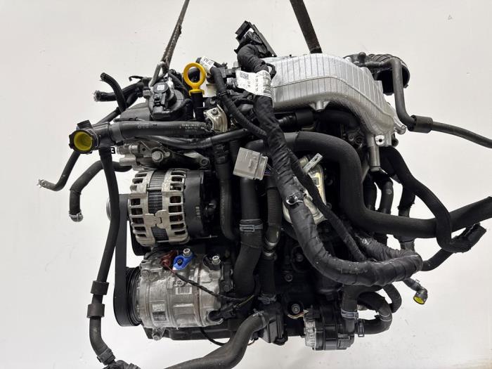Motor Volkswagen Multivan T7