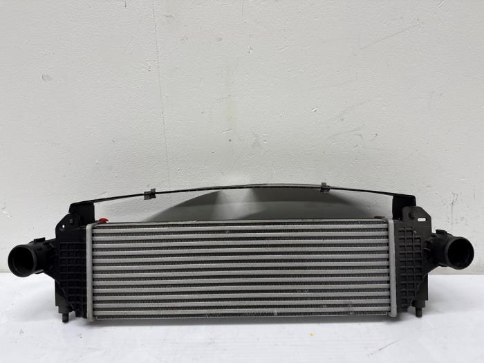 Intercooler Iveco New Daily
