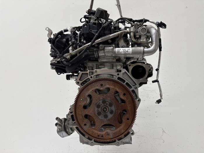 Motor Ford Diversen