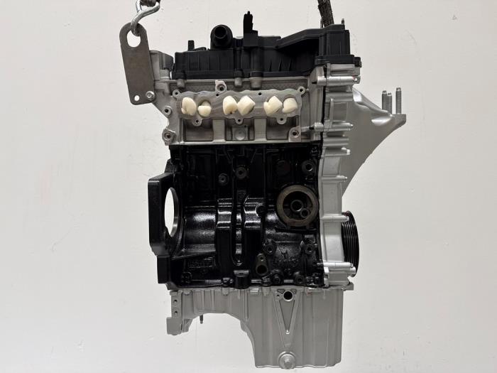 Motor Ford Fiesta