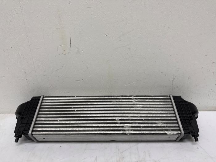 Intercooler Iveco New Daily