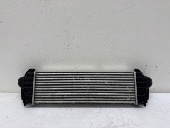 Intercooler Iveco New Daily