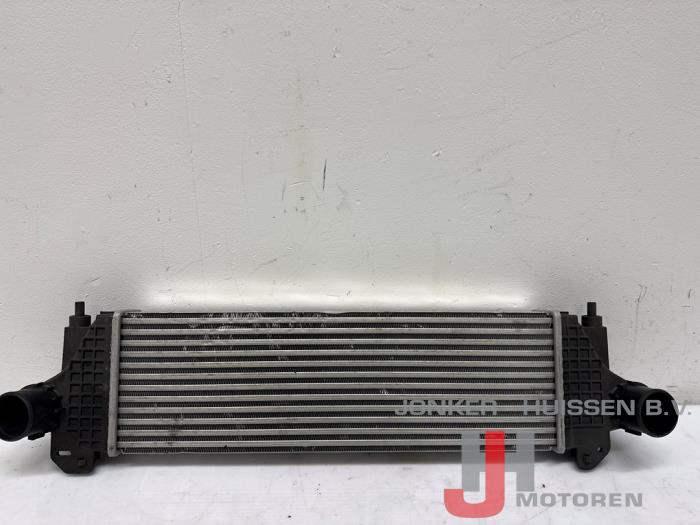 Intercooler Iveco New Daily F1CFL4117 - Foto 2