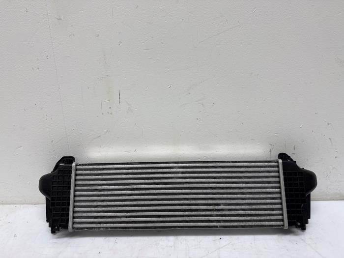 Intercooler Iveco New Daily