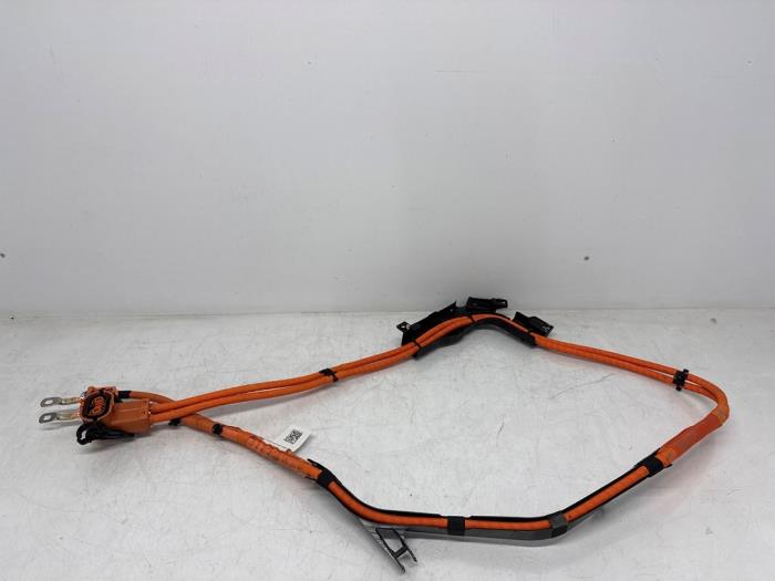 HV kabel (hoog voltage) Volkswagen Multivan T7