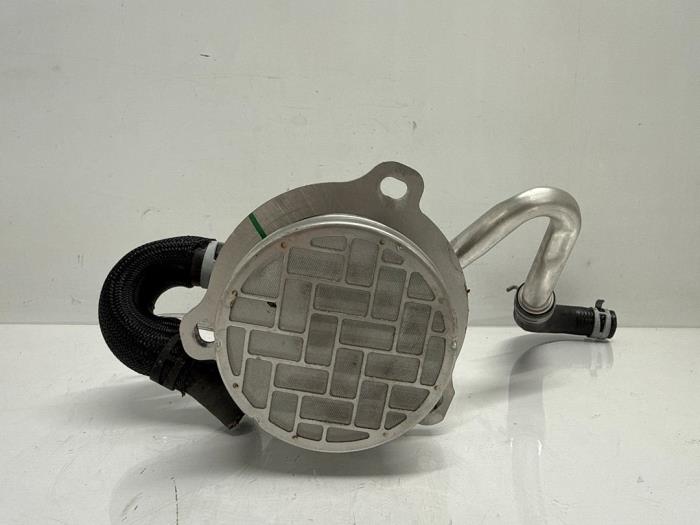 EGR Klep Renault Express