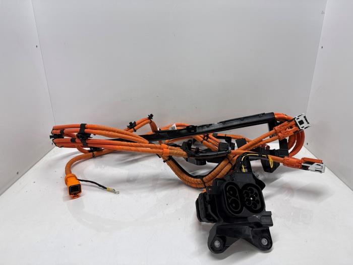 HV kabel (hoog voltage) Volkswagen Tiguan