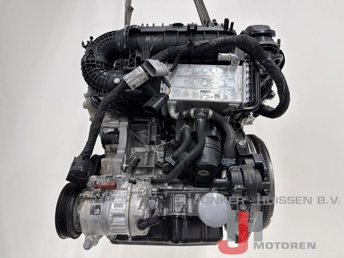 Motor Cupra Terramar