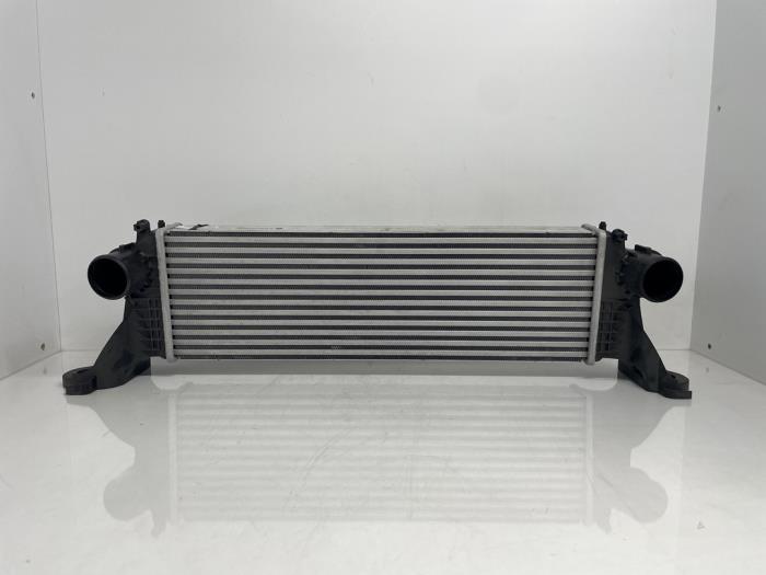 Intercooler Iveco New Daily