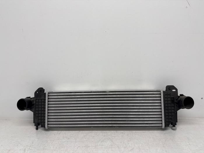Intercooler Iveco New Daily
