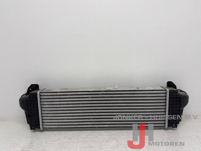 Intercooler Iveco New Daily F1CFL411B - Foto 3