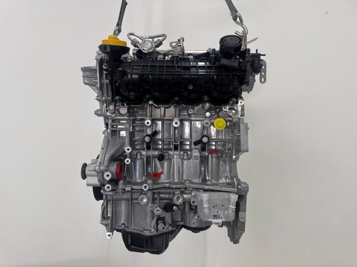 Motor Renault Clio
