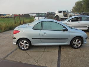 Gebruikte Extra Ruit 2Deurs rechts-achter Peugeot 206 CC (2D) 1.6 16V Prijs € 25,00 Margeregeling aangeboden door Hans Auto Onderdelen