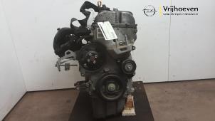 Gebruikte Motor Opel Agila (B) 1.2 16V Prijs € 175,00 Margeregeling aangeboden door Autodemontage Vrijhoeven B.V.