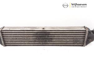 Gebruikte Intercooler Opel Combo 1.3 CDTI 16V ecoFlex Prijs € 30,00 Margeregeling aangeboden door Autodemontage Vrijhoeven B.V.