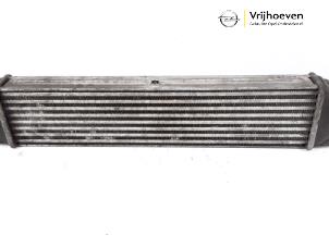Gebruikte Intercooler Opel Combo 1.3 CDTI 16V ecoFlex Prijs € 30,00 Margeregeling aangeboden door Autodemontage Vrijhoeven B.V.