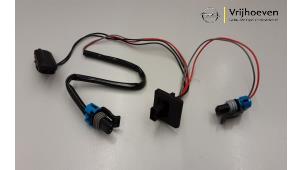 Nieuwe Schakelaar achterklep Opel Insignia Sports Tourer 2.0 Biturbo CDTI 16V Prijs € 60,00 Inclusief btw aangeboden door Autodemontage Vrijhoeven B.V.