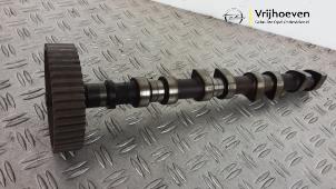 Gebruikte Nokkenas Opel Antara (LA6) 2.4 16V 4x4 Prijs € 100,00 Margeregeling aangeboden door Autodemontage Vrijhoeven B.V.