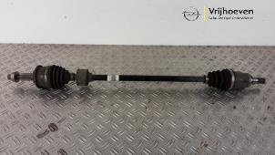 Gebruikte Homokineetas rechts-voor Opel Agila (B) 1.0 12V Prijs € 35,00 Margeregeling aangeboden door Autodemontage Vrijhoeven B.V.