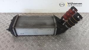 Gebruikte Intercooler Opel Crossland (X) 1.2 Turbo 12V Prijs € 65,00 Margeregeling aangeboden door Autodemontage Vrijhoeven B.V.