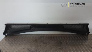 Gebruikte Paravan Opel Vivaro 1.6 CDTI BiTurbo 120 Prijs € 50,00 Inclusief btw aangeboden door Autodemontage Vrijhoeven B.V.