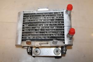 Gebruikte Radiateur Audi A8 (D2) 3.3 TDI 32V Quattro Prijs € 50,00 Margeregeling aangeboden door Donkers VAG Parts