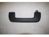Audi A4 (B9) 2.0 35 TDI 16V Handgreep