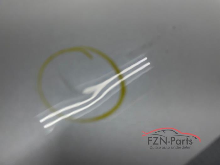 Achterklep van een Tesla Model 3  2018