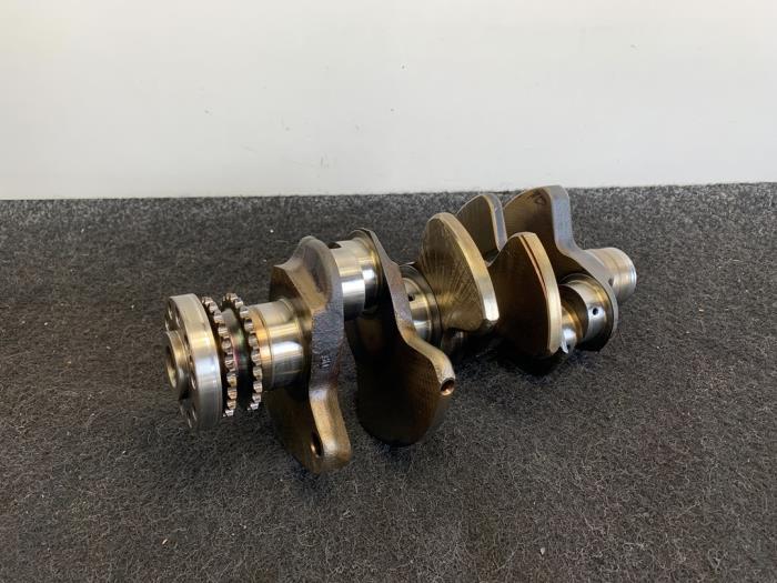 Gebruikte Krukas Audi A6 (C6) 2.4 V6 24V Prijs € 99,95 Inclusief btw aangeboden door Van Kronenburg Engines