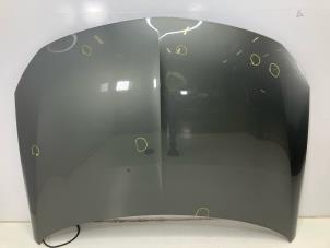 Gebruikte Motorkap Opel Insignia Prijs € 549,99 Inclusief btw aangeboden door Autorecycling Kempers