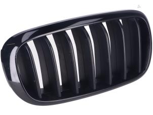Gebruikte Grille BMW X6 Prijs € 41,00 Inclusief btw aangeboden door Autorecycling Kempers
