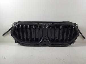 Gebruikte Grille BMW X6 Prijs € 500,00 Inclusief btw aangeboden door Autorecycling Kempers